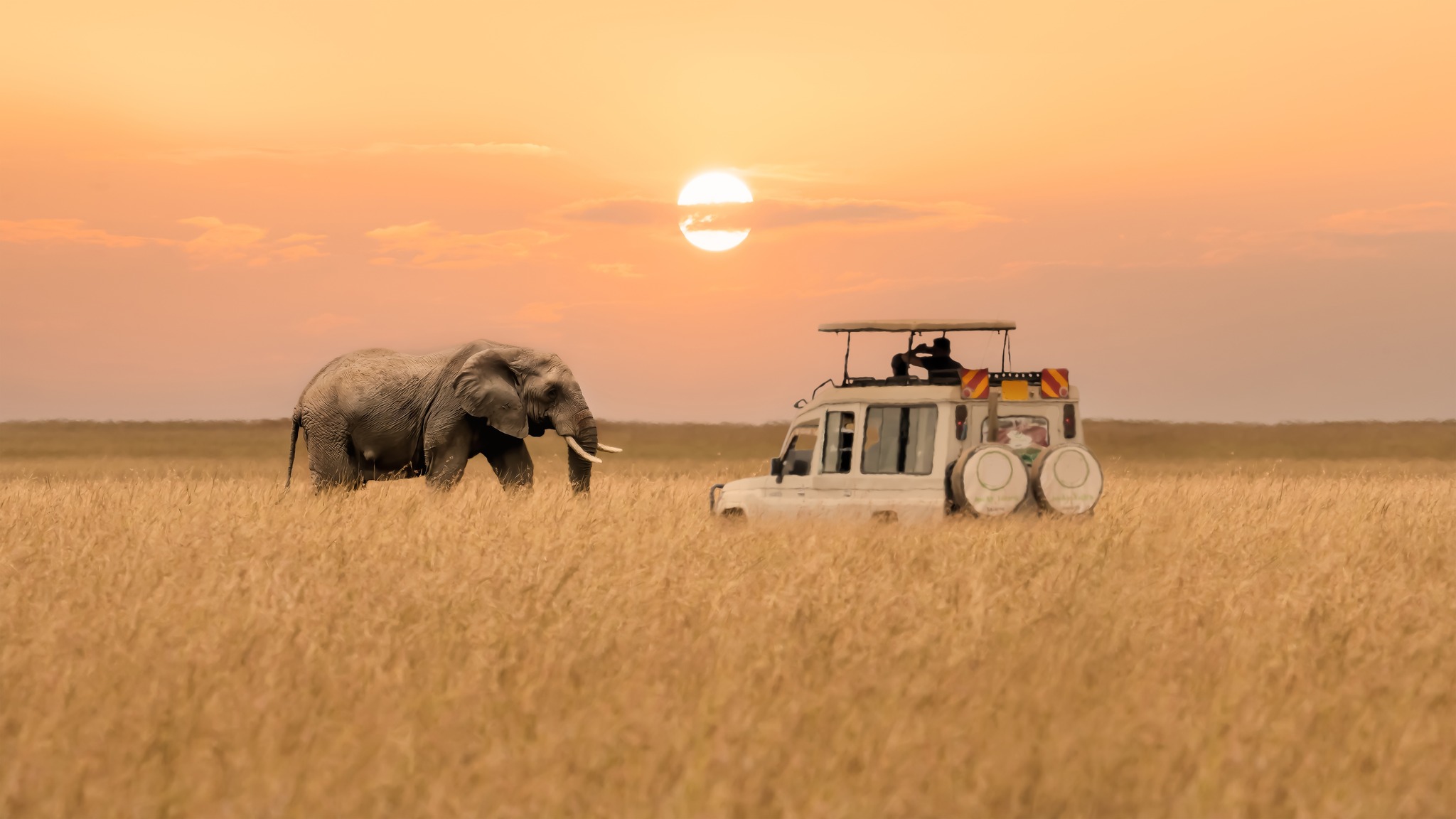 Savanna Community Trust - East African Savanna